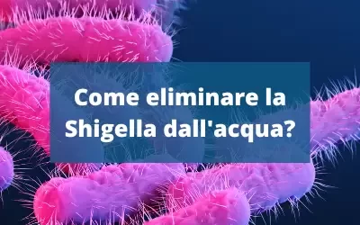 Come eliminare la Shigella dall’acqua