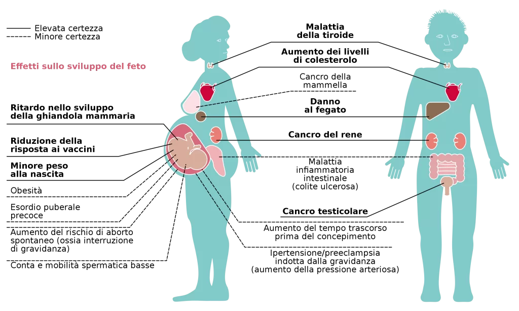 Effects_of_exposure_to_PFASs_on_human_health.svg