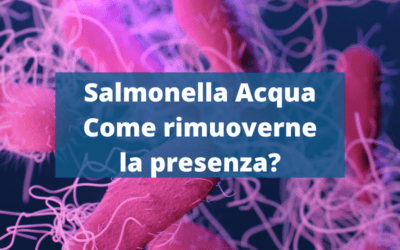 Salmonella acqua: come rimuoverne la presenza?